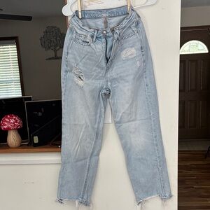 American Eagle Outfitters Light Blue Distressed Cropped Jeans